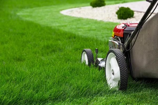 Comprehensive Lawn Care Service to Make Your Lawn Shine