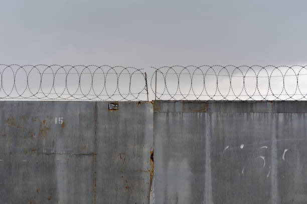 Zaeune im Vergleich welche Loesung eignet sich fuer Ihr Zuhause