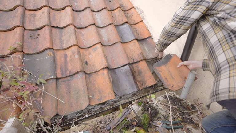 Premium Roof Replacement Bellevue for Modern Homes