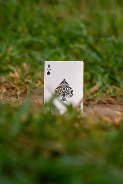 Best Practices for Using migliori casino non AAMS